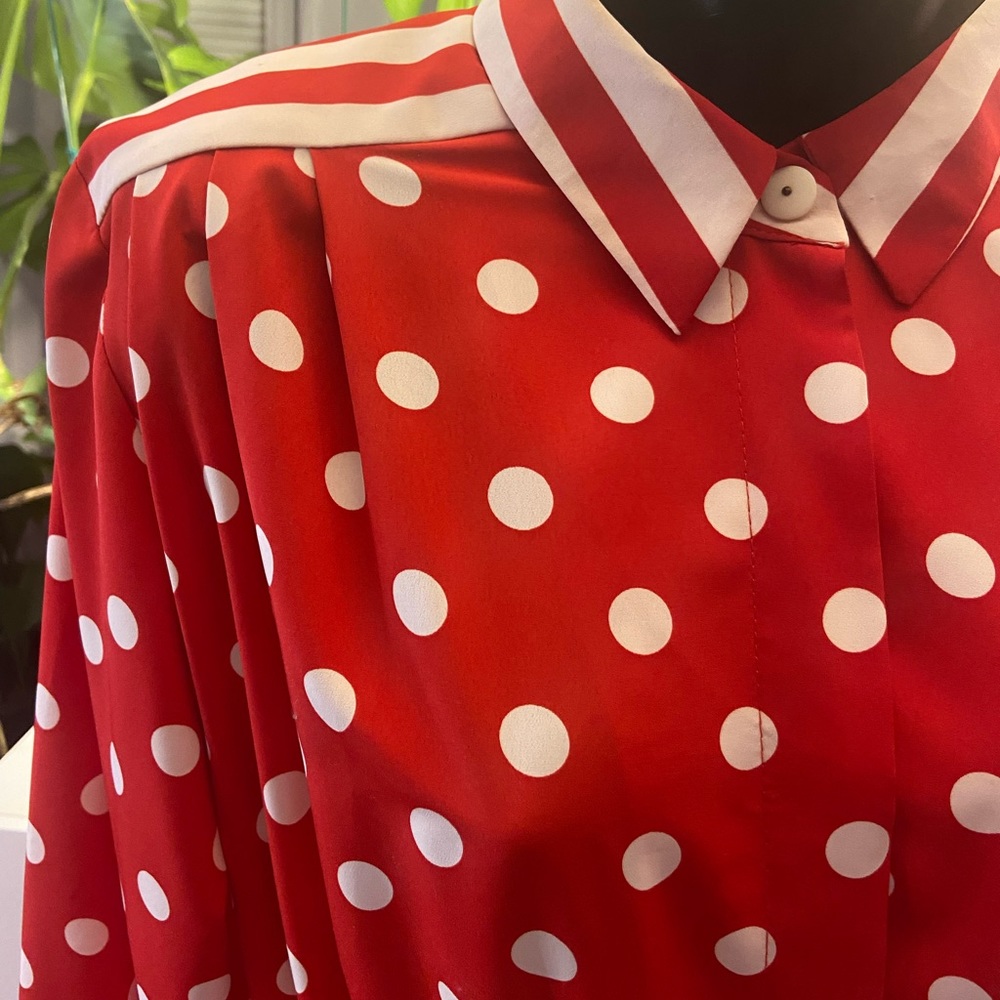 Vintage 80’s  12P California designs by Dorothy Samuel Dress